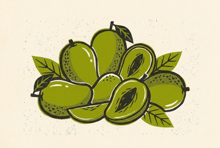 Illustration : Chaunsa, Sindhri, Anwar Ratol : le guide des mangues pakistanaises